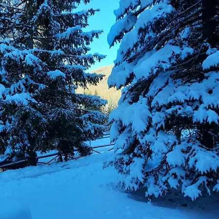 Trilocale Sulle Piste Appena Ristrutturato Lejlighed Oulx