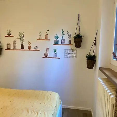 Trilocale Sulle Piste Appena Ristrutturato